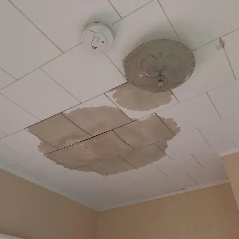 Ceiling Water Damage Repair in Westchester, IL