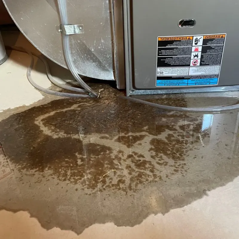 Pipe Burst and Leak Restoration in Westchester, IL